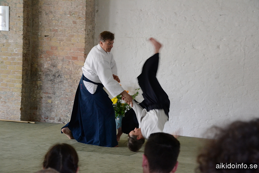 aikido, Jan Nevelius