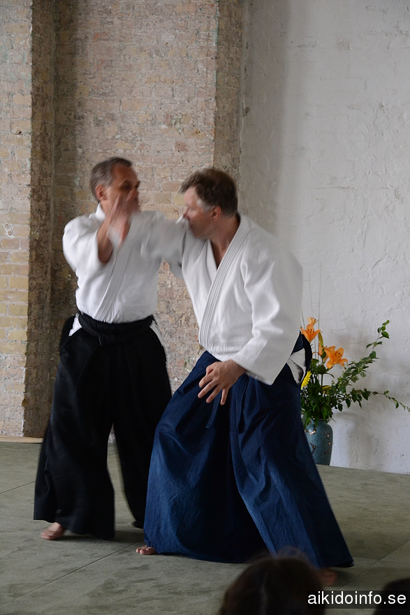 aikido, Jan Nevelius