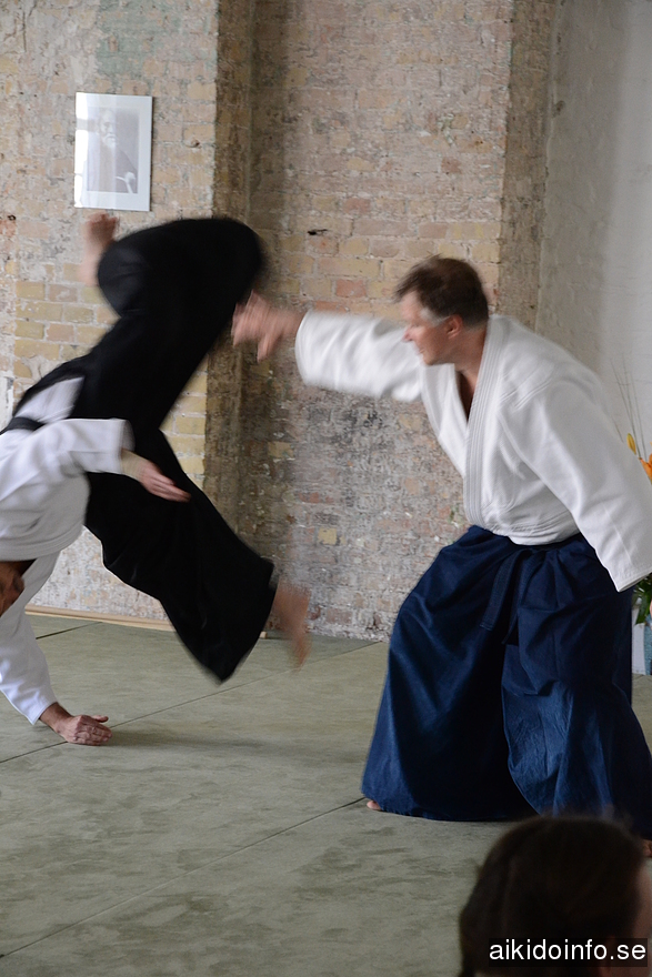 aikido, Jan Nevelius
