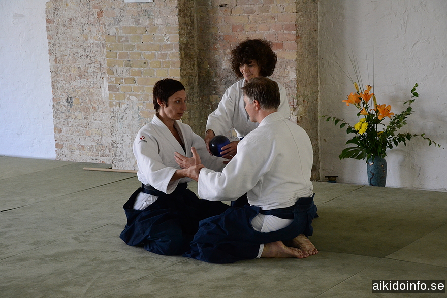 aikido, Jan Nevelius