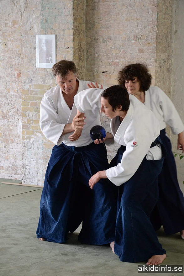 aikido, Jan Nevelius