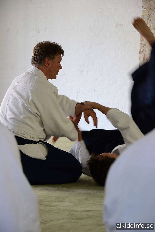 aikido, Jan Nevelius