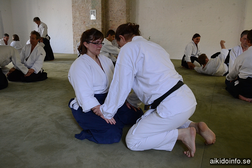 aikido, Jan Nevelius