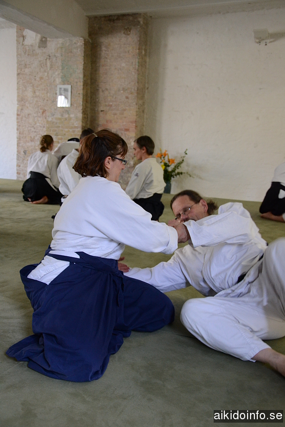 aikido, Jan Nevelius