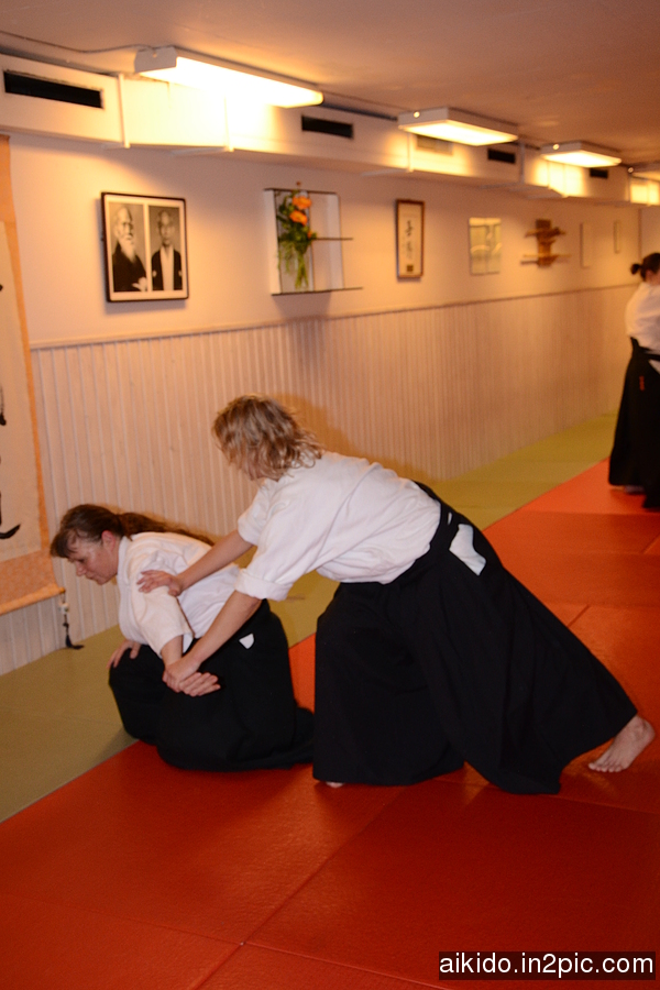 Iyaska Aikido